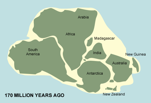 The Continent Of Zealandia the-continent-of-zealandia